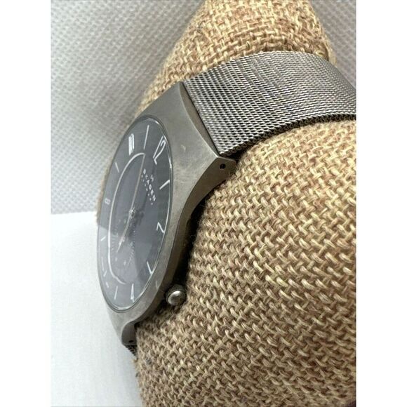 Skagen 805XLTTM1 Men Silver Stainless Steel Mesh Analog Dial Quartz Watch AEA153 main image 9